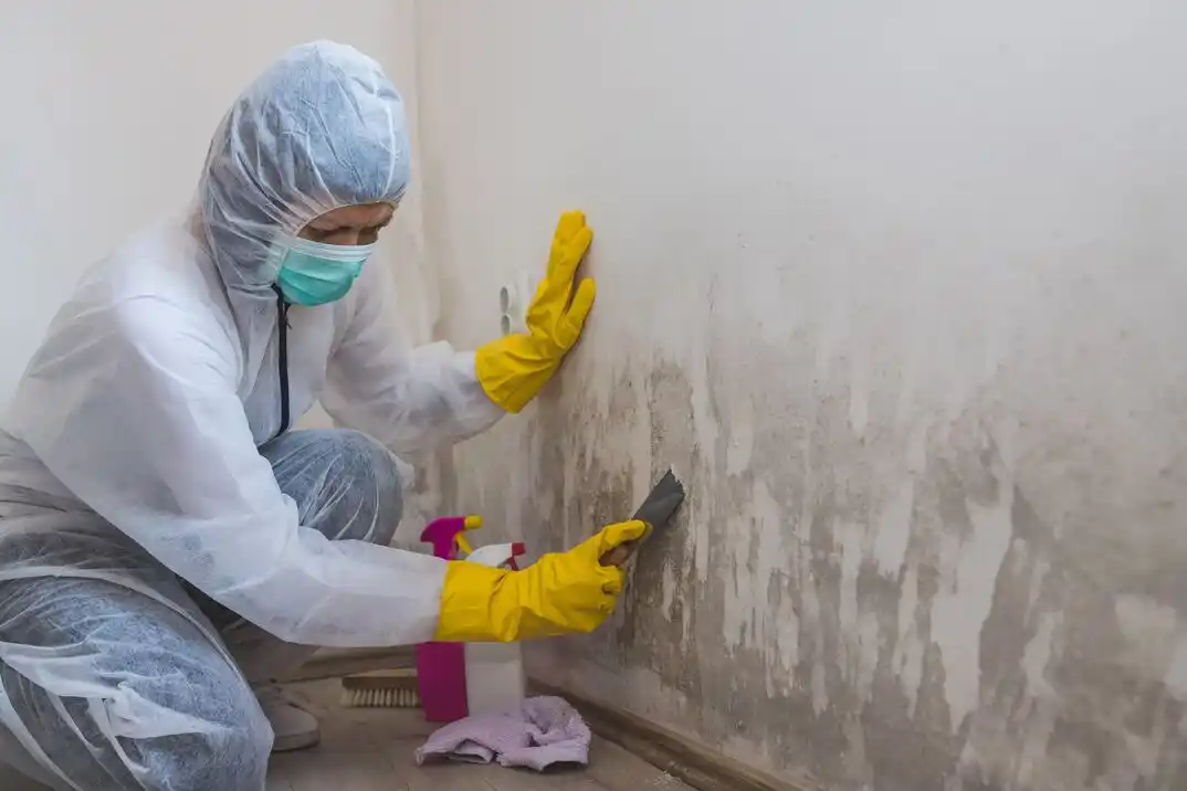water damage restoration service Garden Oak Estates